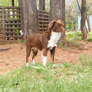 Meet your Posher, Curtis tamla